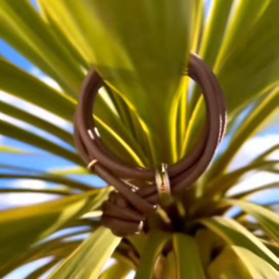 Orbit Bracelet + Necklace